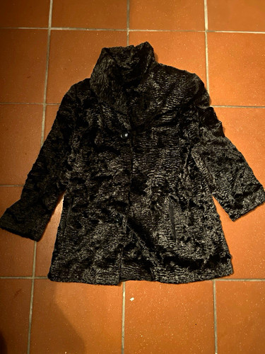 Klassischer vintage persianer - vintage,